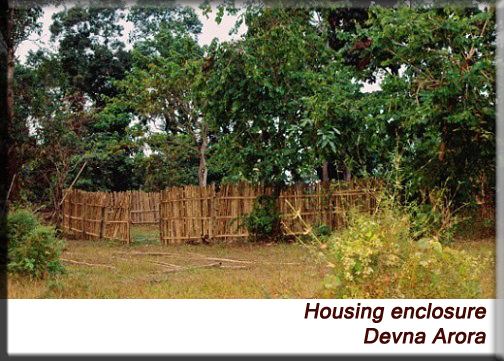 Devna Arora - Housing in a natural setting